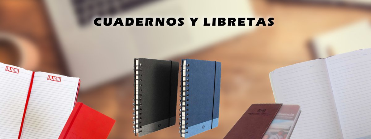 Venta de Cuadernos y Libretas